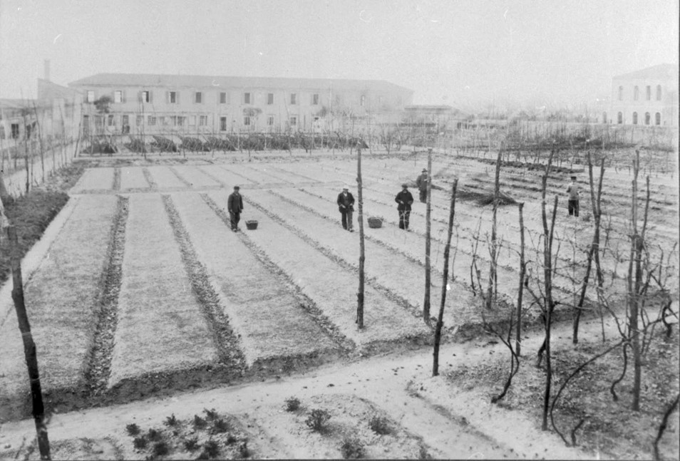 Colonia agricola a San Servolo Venezia