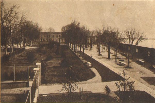 Parco di San Servolo venezia
