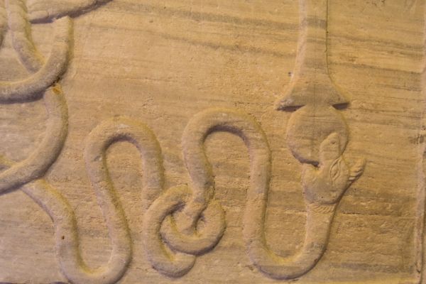 Particolare di frammento di pluteo con nastro sottile (lemnisco) terminante a testa di animale – Sezione Medievale Moderna, Museo di Torcello, Venezia
